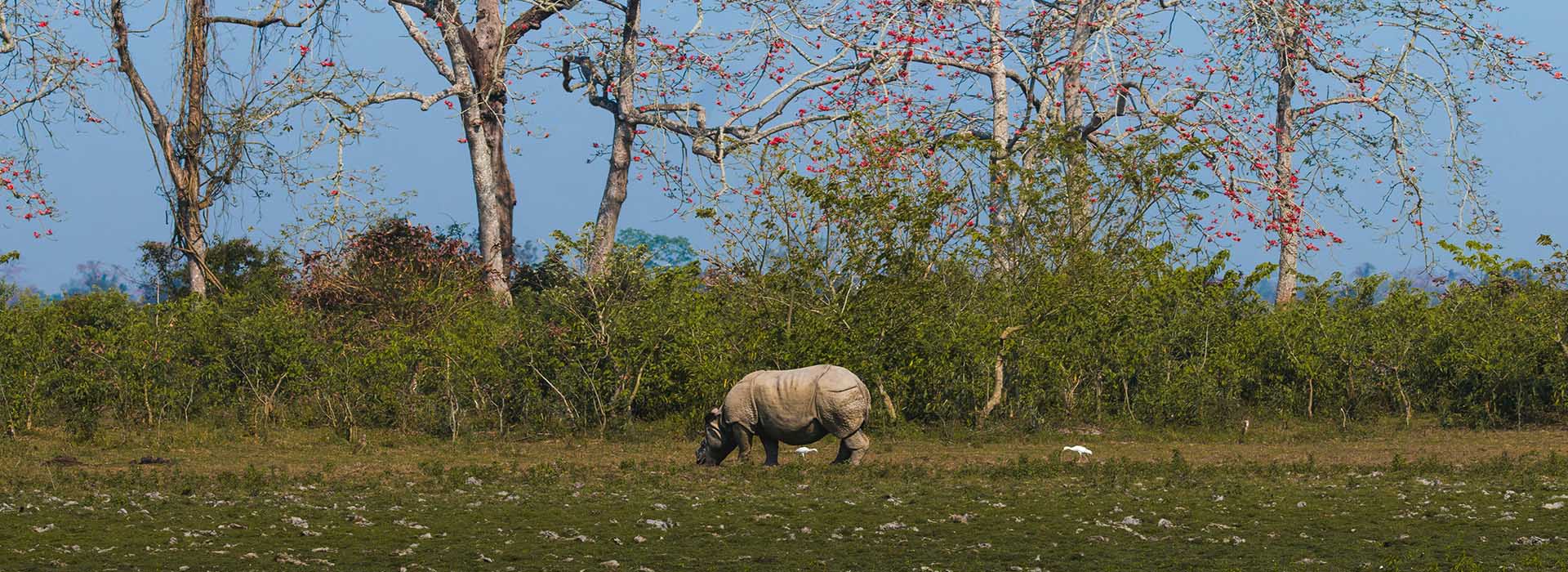 Shillong – The Scotland of the East