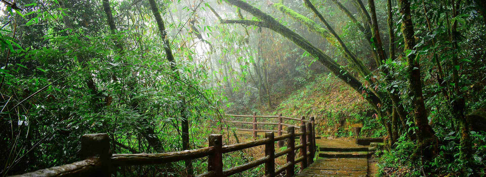 Meghalaya 5 Night 6 days Family tour package
