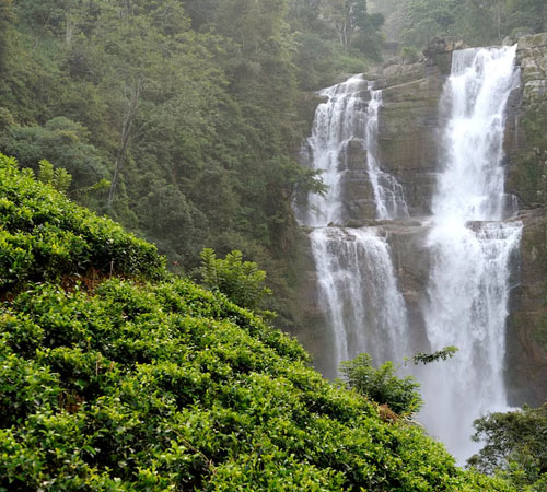 Senior' Special Assam Meghalaya