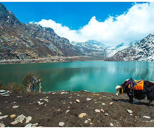 Darjeeling Gangtok with North Sikkim