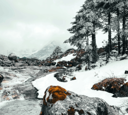 Arunachal Essence Tour – Culture & Nature