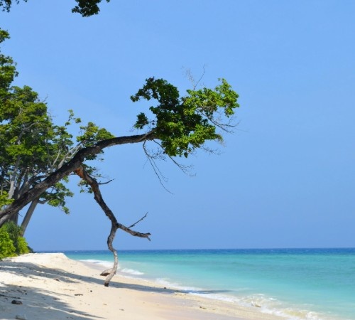 Andaman Grand Island Hopper Tour